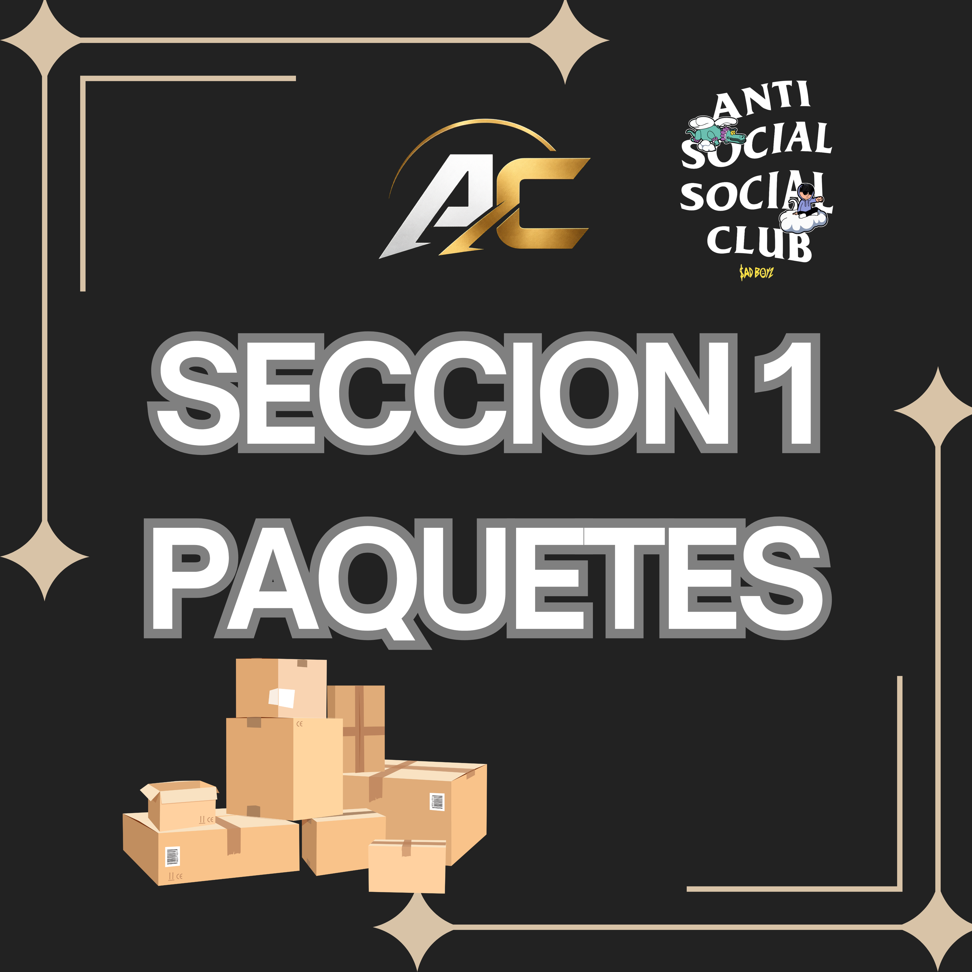 Seccion 1: Paquetes